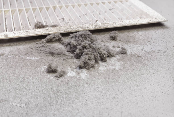 Best Air Duct Cleaning Near Me  in Mount Olive, MS
